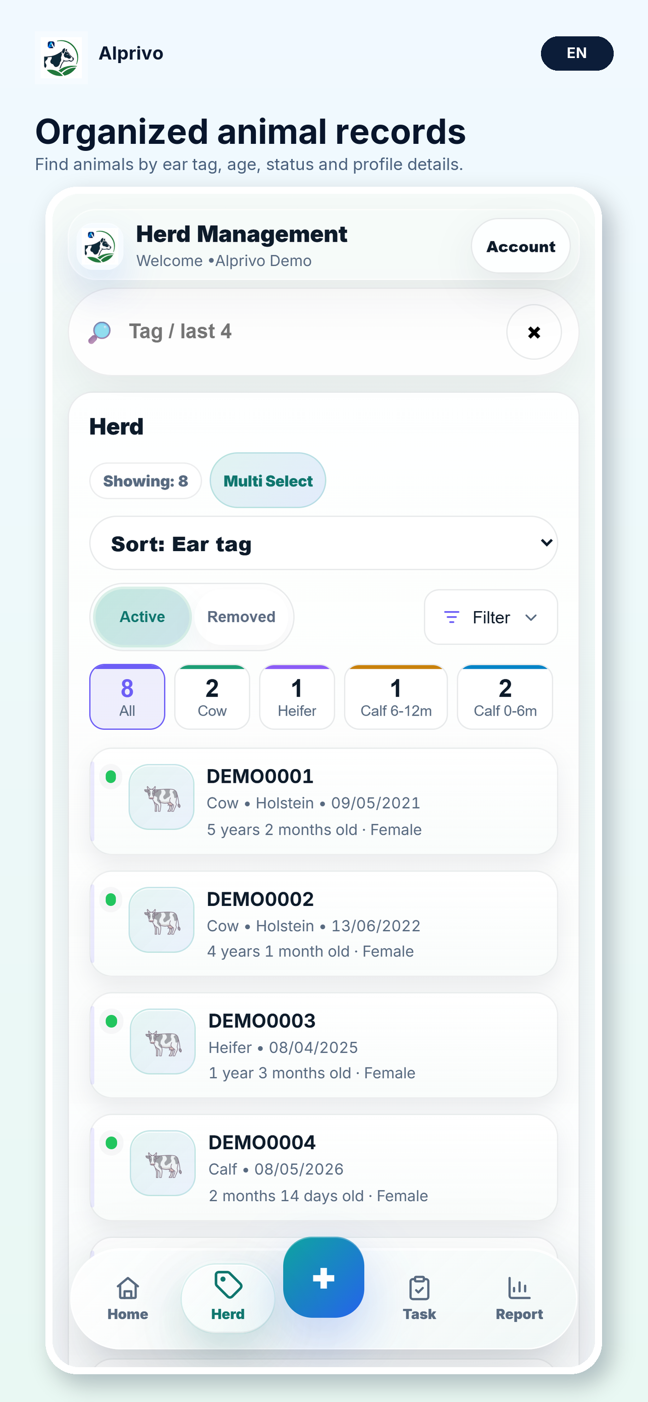 Herd records with sample ear tags starting with DEMO